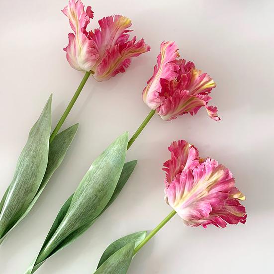 Kunstig tulipan realistisk falsk blomst med blader ingen vedlikehold falsk tulipan for hjemmedekor bryllupsfest bordpynt