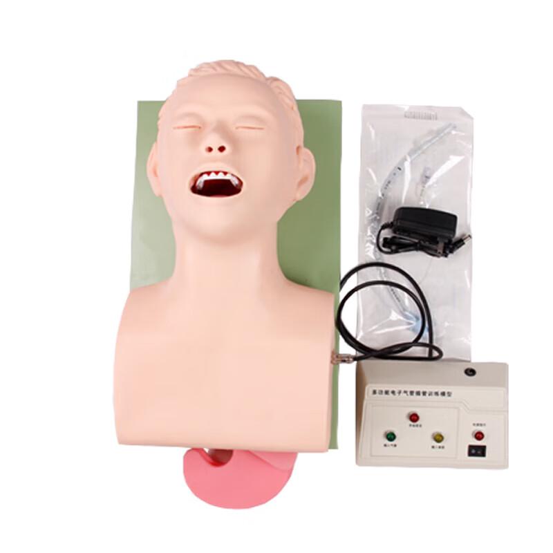 Adult Tracheal Intubation Training Model