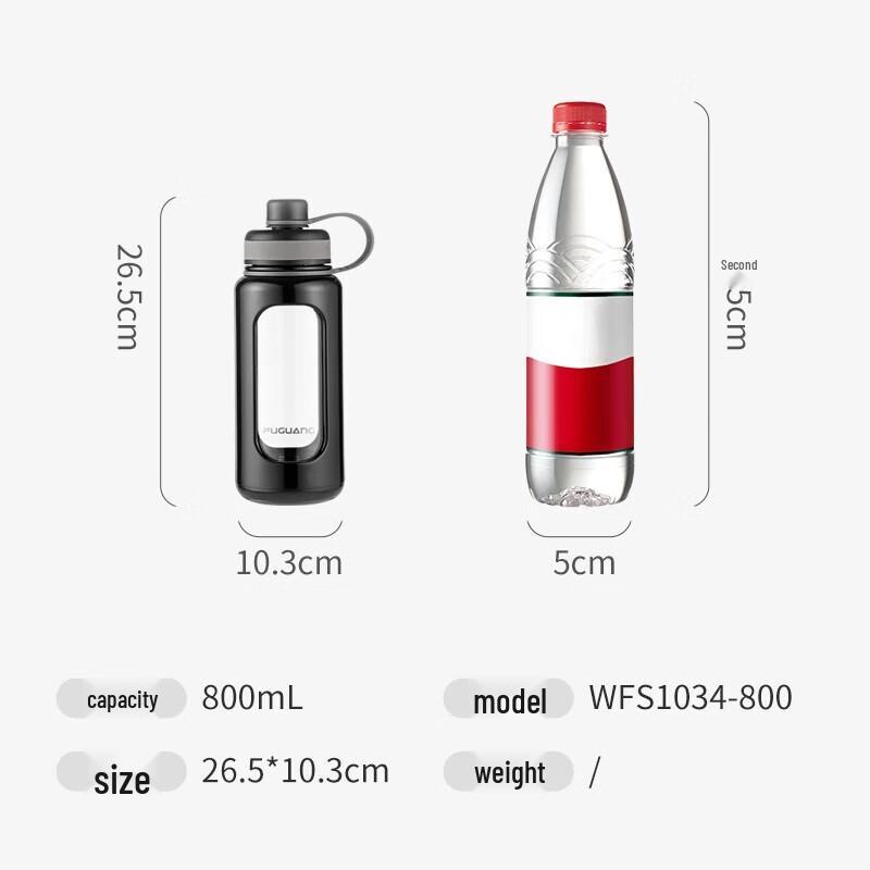 FUGUANG 800ml High Borosilicate Glass Water Bottle with Tea Infuser