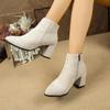 2025 Nieuwe Eenvoudige Enkellaarsjes Vierkante Hak Booties Zijritsen Puntige Suede Hoge Hakken Mode Dameslaarzen