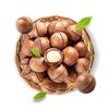 Xianji Macadamia Nuts