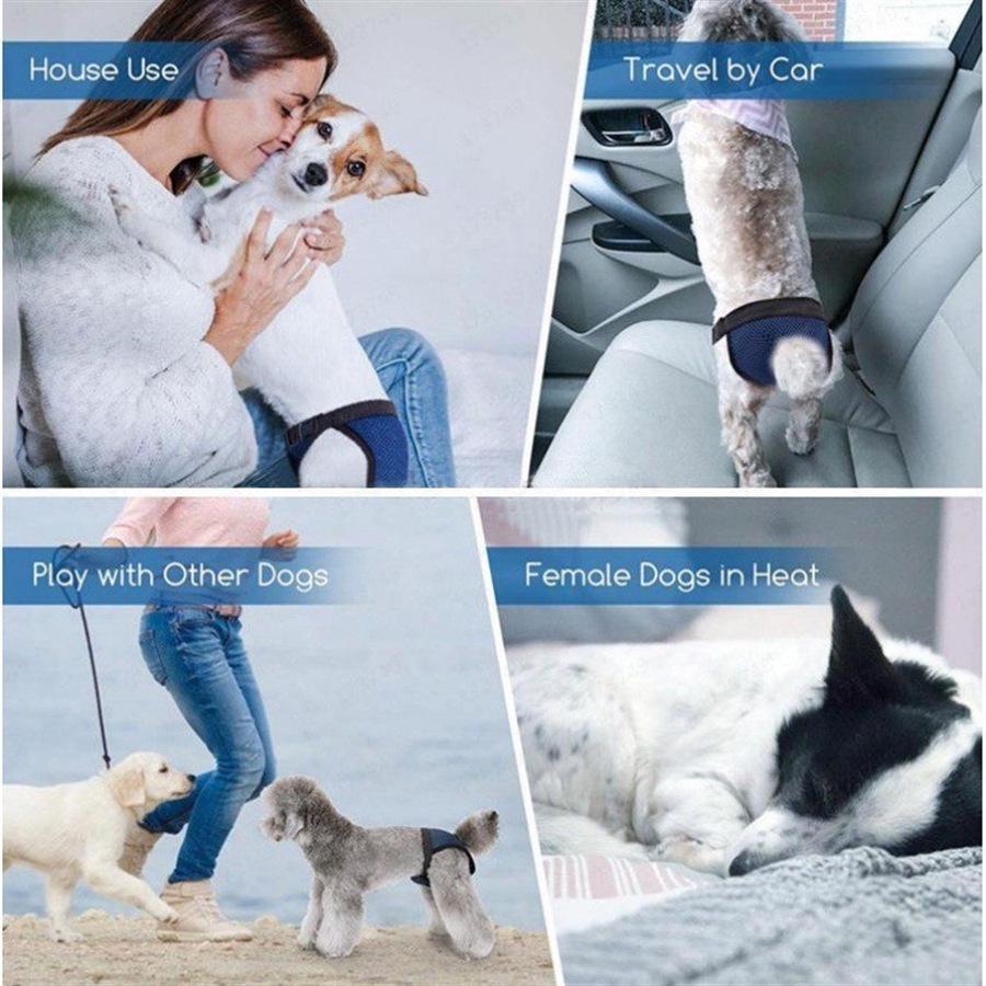 Female Dog Diapers: Sanitary Pants for Menstrual and Anti-Harassment Protection