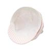 Sweet Plaid Cute Cat Ears Star Anise Hat Female Cap Spring and Autumn New Sweet Face Little Painter Hat Tide