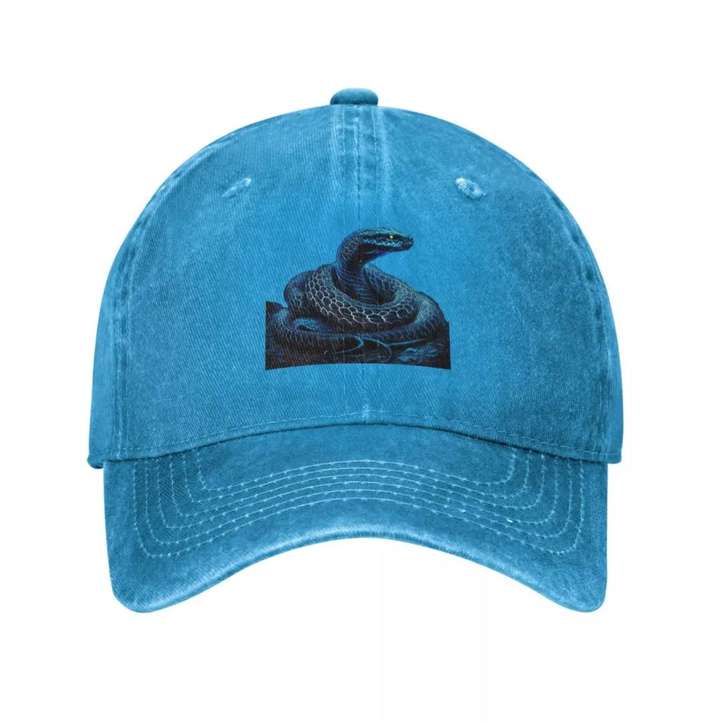 Blue Snake Baseball Cap Beach Outing Sunhat Hat Luxury Brand western Hat Womens Beach Outlet Unisexs