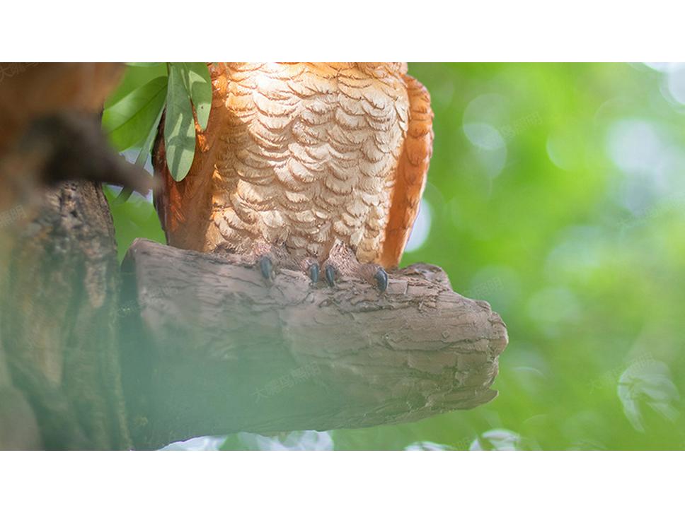 LED Resin Simulated Turtle, Raccoon, Toucan, and Parrot Outdoor Landscape Animal Lights