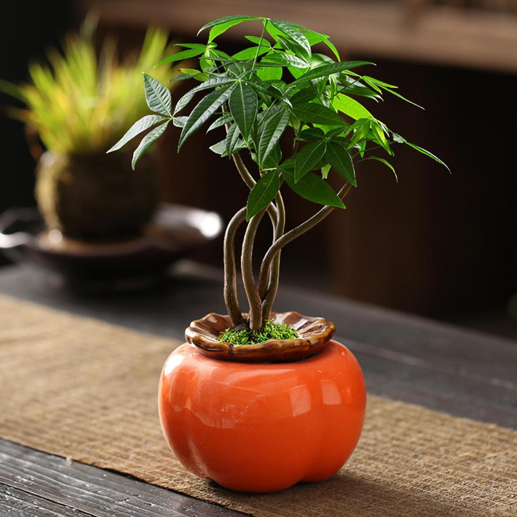 Elegante Vaso Fiore di Cachi per Arredamento Casa - Aggiungi un tocco di raffinatezza al tuo spazio abitativo