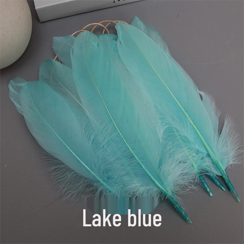 Barevná barvená velká husí pera pro DIY řemesla, ručně vyráběné dekorace a projekty pro mateřské školy