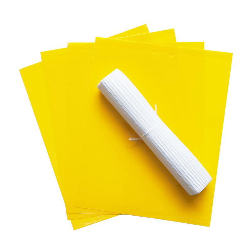 Yellow Sticky , 2010cm, 10 Pack - Extra Sticky for Flying , , , Indoor Outdoor Use
