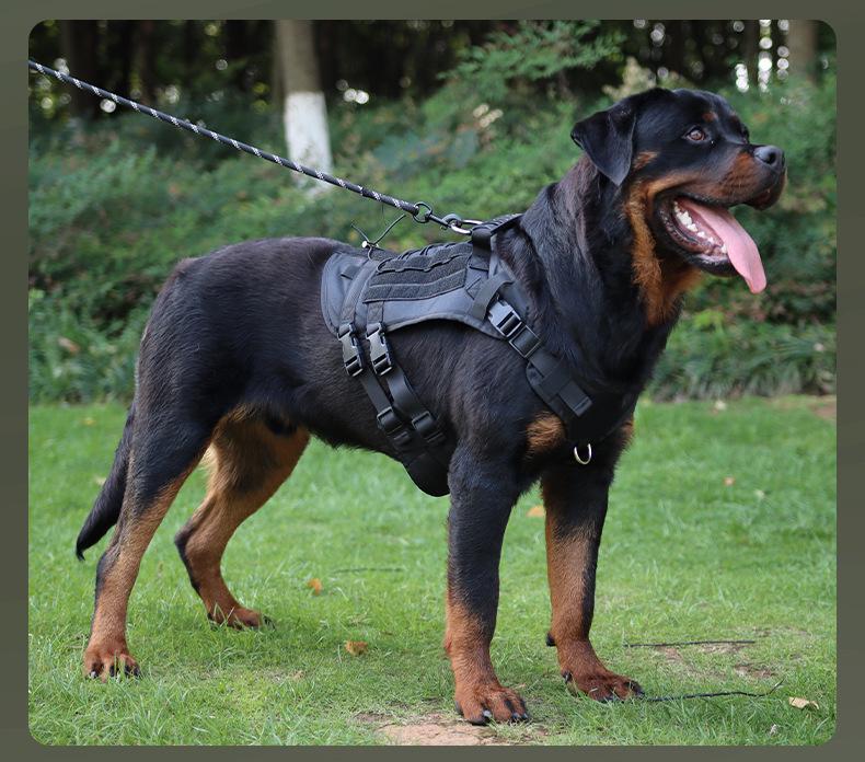 Multi-Functional Tactical Dog Harness & Leash for Large Dogs