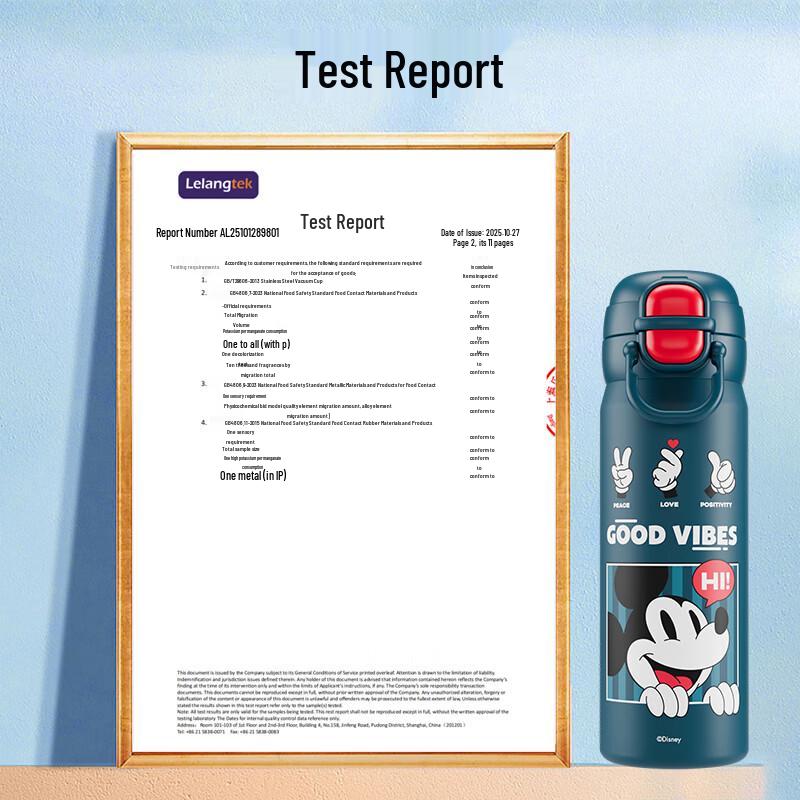 Disney 316 Stainless Steel Dual-Drink Insulated Kids Water Bottle 600ml