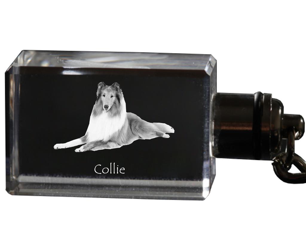 Collie Rough, Collie a pelo lungo - Portachiavi in cristallo con foto del cane, portachiavi illuminato, regalo unico del marchio Art-Dog