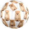 Cute Puppy Indoor Size 5 Soccer Ball Colorful Machine Stitched PVC Competition Ready Durable High-Bounce