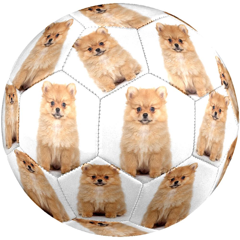 Cute Puppy Indoor Size 5 Soccer Ball Colorful Machine Stitched PVC Competition Ready Durable High-Bounce