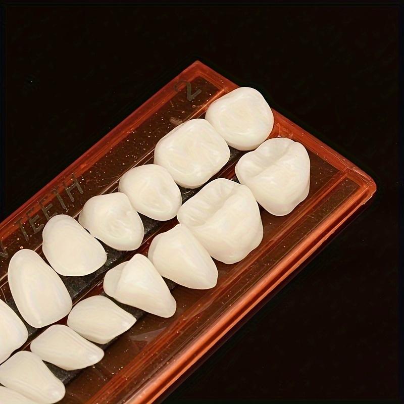 28pcs Multicolored Resin Teeth Set for Dental Practice - Realistic False Teeth Models with Shade Guide, Durable Polypropylene Material