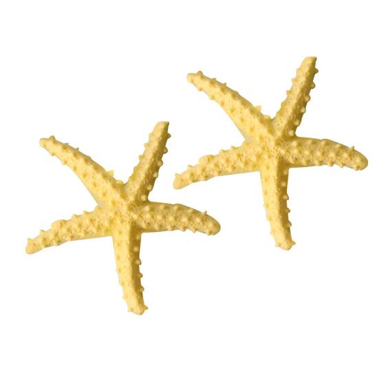 

2 Pcs Mini Resin Starfish Ocean Decor Tiny Summer Starfish Figurine for Miniature DIY Crafts Fairy Garden Ornament Beach Party Home Decoration