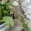 1Pc Creative Simulation of Small Turtles Resin Crafts Gardening Balcony Flower Pot Decoration Home Fish Tank Small Ornaments