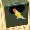 Creative Versatile Bird Breeding Box Hanging Breathable Mating Box Spacious Bird Nest Box Pet Accessories
