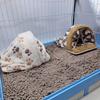 Cozy Winter Warm Hamster Bed Washable Breathable Hamster Nest Cotton Soft Rabbit House Pet Accessories