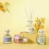 Large-mouthed Bottle Fragrance - Home Use - Indoor Air Freshener with Long-lasting and High-quality Non-flame Essential Oil for Bathroom and Bedroom