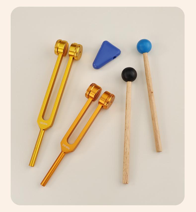 Aluminium Stimmgabel Lehrmittel Set - 8-teiliges farbiges Set mit Geschenkbox