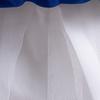Girls Bow Flower Wedding Party Birthday Party Tutu Dress Stage Performance Costume