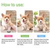 New Pet Toy Training Bell (white (white + Black Button))