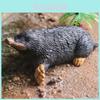 Realistic Plastic Wild Land Animals Elephant Koala Capybara Squirrel Raccoon Group Early Education Handheld Figurine