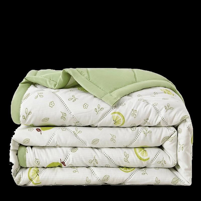 Lanting Xu Washed Cotton Summer Quilt