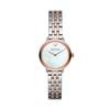 Modern Slim Stainless Steel Quartz Dress Watch with Stainless Steel Plated Women's Strap, Two-Tone, 12" (Model AR11157)