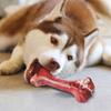 Indestructible Dog Chew Toy for Aggressive Chewers - Durable, Non-Toxic Natural Rubber Bone Shape for Teeth Cleaning
