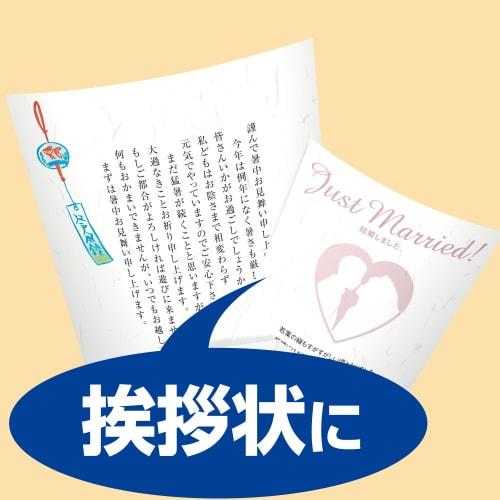 KOKUYO Copy Paper Color Laser Inkjet Washi Paper Thin KPC-W1110