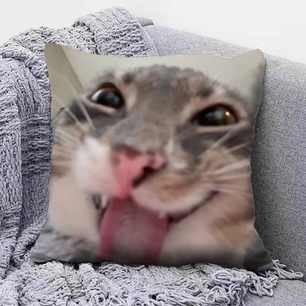 Funny Cat MMeMe Pillow Covers Home Sofa Cushion Covers and Aecorative Custom