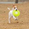 Aisenweil Professional Freestyle Puppy Training Frisbee for Border Collies