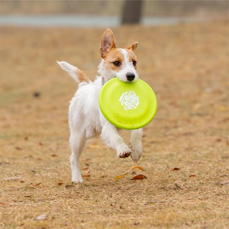 Aisenweil Professional Freestyle Puppy Training Frisbee for Border Collies