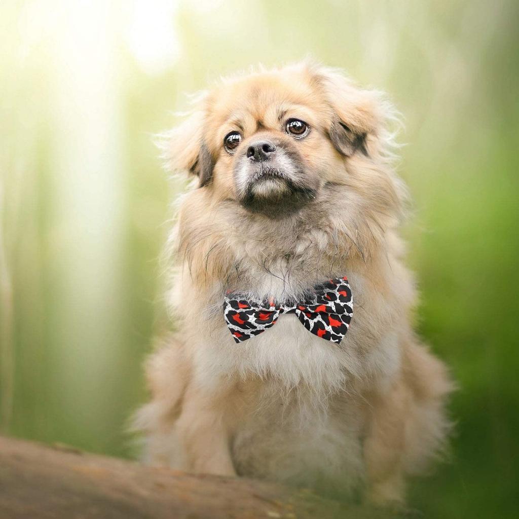 25/50/100pcs Wholesale Dog Bow Ties Pet Grooming Supplies Adjustable Puppy Dog Cat Bow Tie Pets Accessories For Dogs Mix Colors