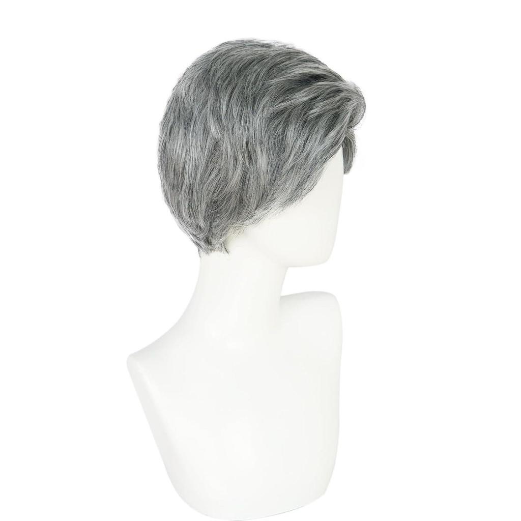 Middle-Aged & Elderly Men's Costume Wig, Grandpa Gray Wig with Beard and Glasses Set