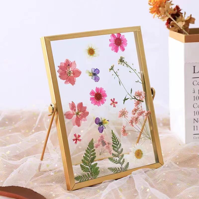 Nordic Creative DIY 3D Dried Flower Frame Kit - Simple Metal & Glass with Glue