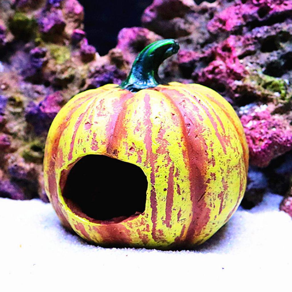 pumpkin fish tank