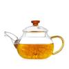 Shijin High-Temperature Glass Teapot with Stainless Steel Infuser