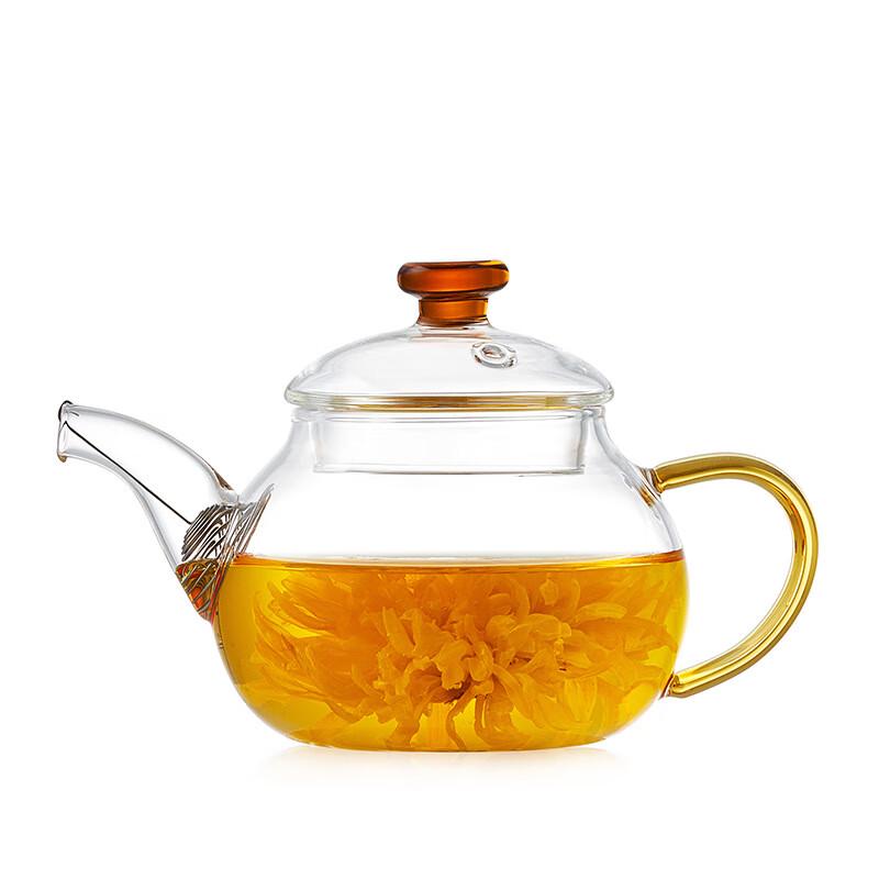 Shijin High-Temperature Glass Teapot with Stainless Steel Infuser