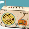 DIY Radio Model Science Set Teaching Materials Unique Experiment Kits 3D Puzzle Toy Ages 6+
