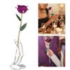 Real Purple Rose 24K Gold Dipped Preserved Flower Gifts with Stand for Valentines Day Anniversary