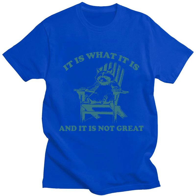 It Is What It Is and It Is Not Great Raccoon Meme T-Shirt Funny Opossum Popular Tshirt Unisex Fashion Cotton Casual Short Sleeve
