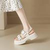 Platform Sandals Female Summer New Fairy Style with Skirt Versatile Not Tired Feet Wide Strip with Buckle Word with Sandals