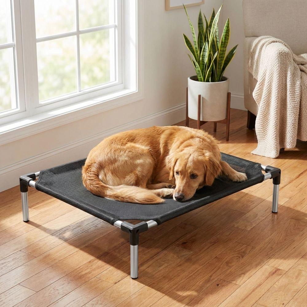 Breathable Mesh Elevated Dog Bed Waterproof Pet Cool Nest Durable Pet Cat Cot Outdoor Indoor Use