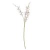 Hill Interiors Cymbidium Spray Artificial Flower