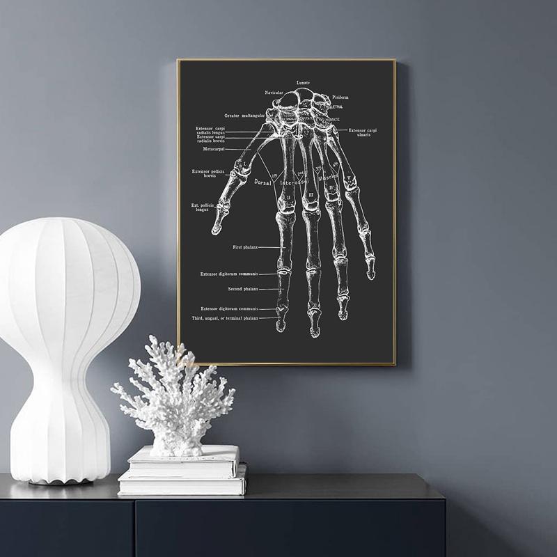 Anatomy Muscle Bone Black and White Canvas Painting Skeleton Organ Wall Art Modern Pictures Posters for Doctor Office Home Decor