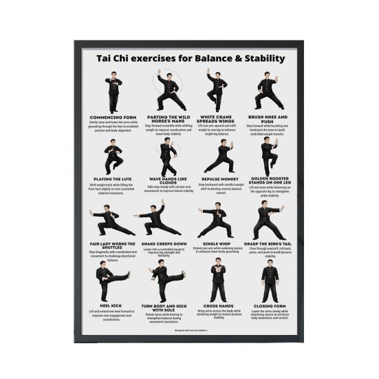 Plakát Tai Chi na židli Bez rámu Plakát s Tai Chi sestavou Jasné vizuální pokyny Tabulka cvičení vsedě pro seniory Začátečníky Jemné židle