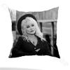 Retro Classic D-Dolly P-Parton Pillow Case Anti-dustmite Pillowcase Invisible zipper silky short plush Sofa cushion cover