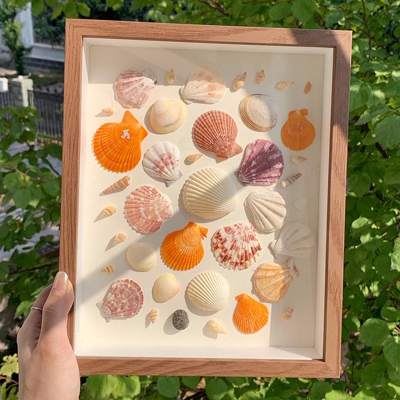 Handmade Seaside Shell Conch Photo Frame - Minimalist Square Design